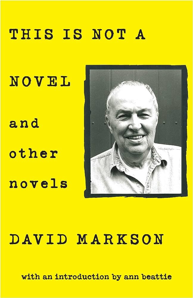 Cover of Markson's This is Not a Novel and Other Novels